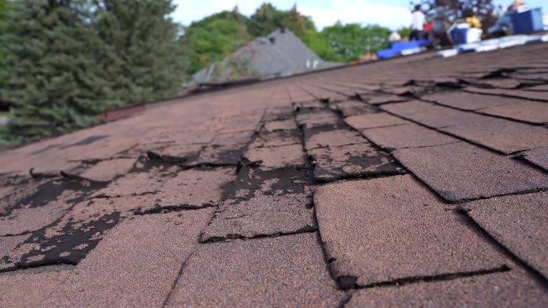 Best Hot Roofs  in Westfield, MA